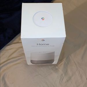 Google Home Voice activated
